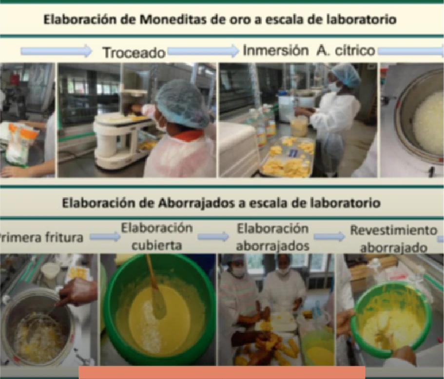 imagen proyecto