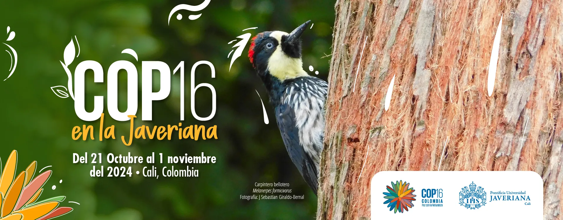 COP16 en la Javeriana
