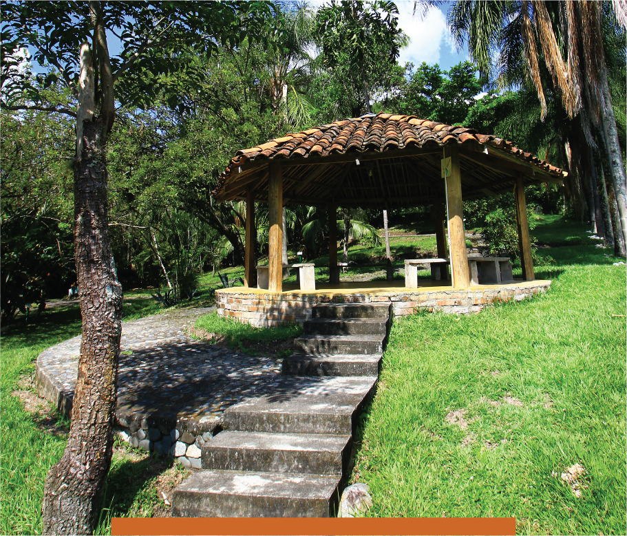 imagen proyecto