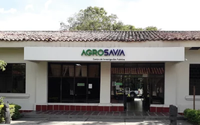 Logo AGROSAVIA Corporación Colombiana de Investigación Agropecuaria