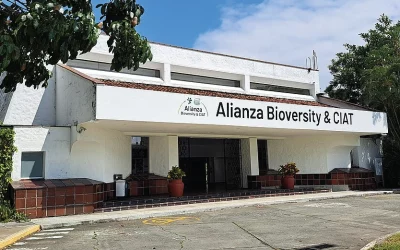 Logo Alianza de Bioversity International y el CIAT