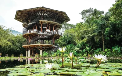 Logo Jardín Botánico de Cali – Fundación Zoológica de Cali
