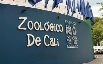Logo Zoológico de Cali