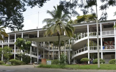Logo Universidad Nacional de Colombia – Palmira