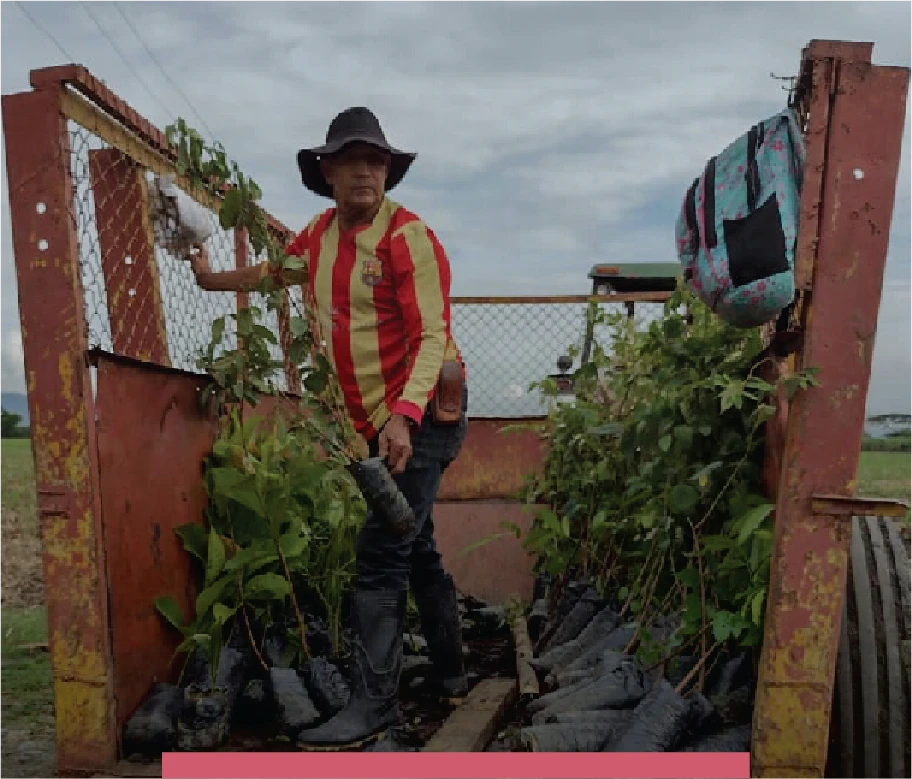 campesinos 