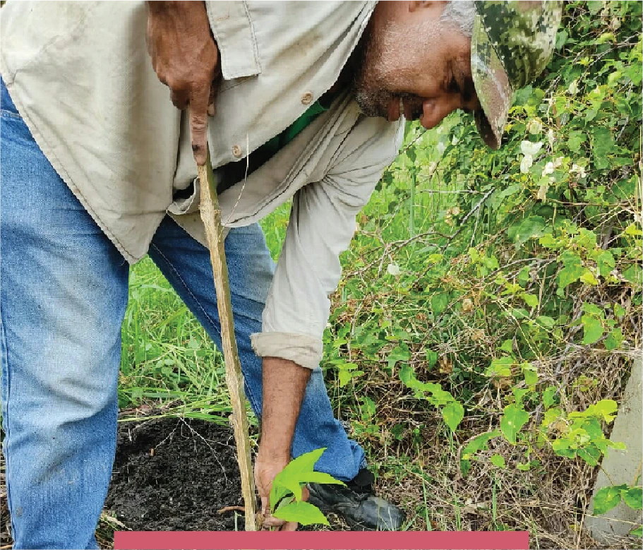 imagen proyecto