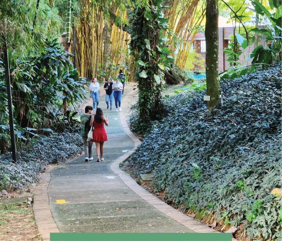 Javeriana cali