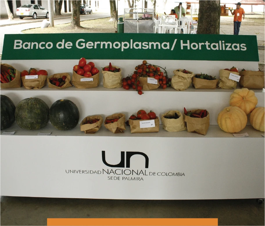 recursos