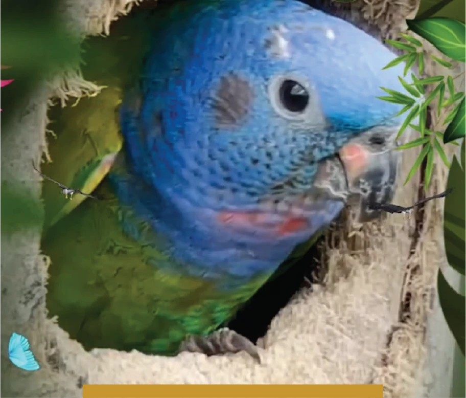 loro