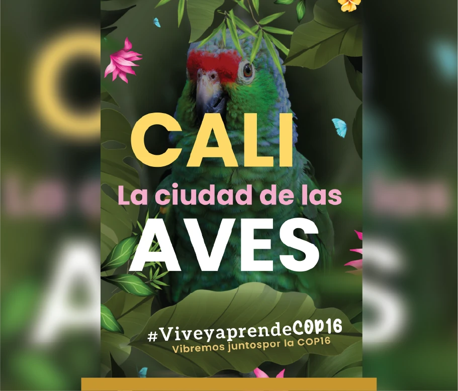 imagen proyecto