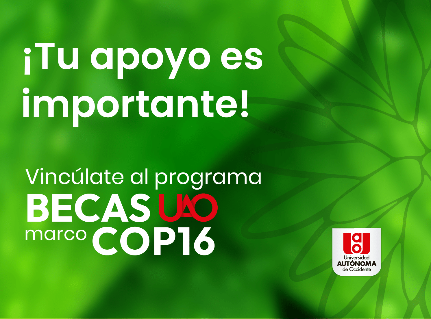 noticia uao
