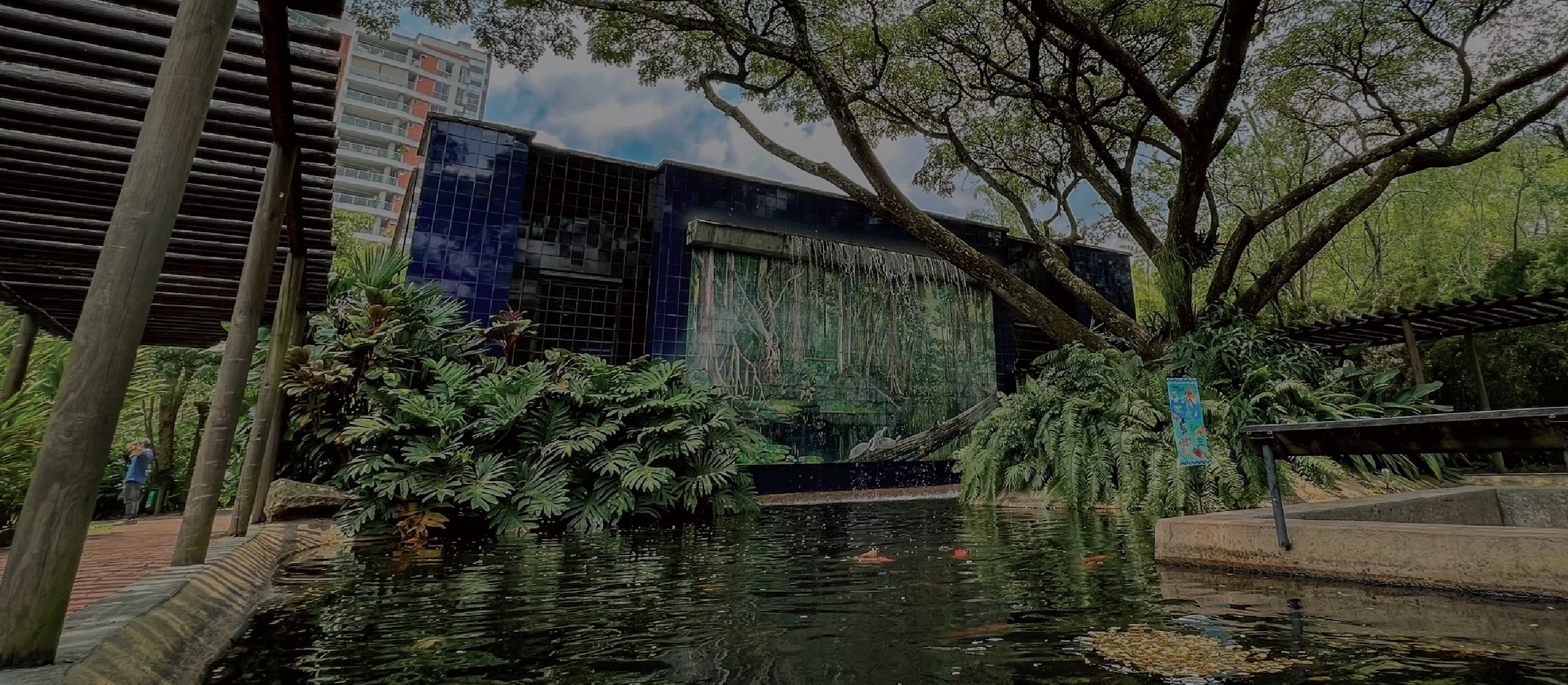Imagen de fondo Zoológico de Cali