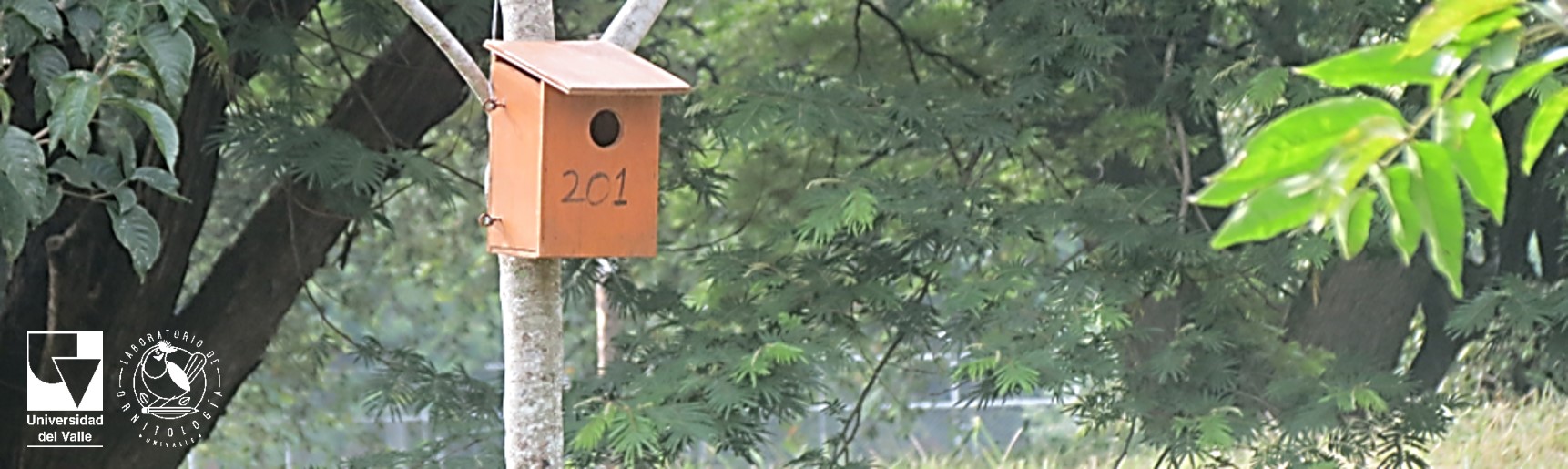 Logo Biología reproductiva y ecología conductual de Aves